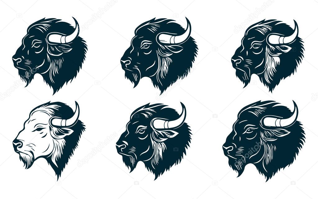Black Silhouette of a Strong Buffalo Facing Side View  Vector Design on White