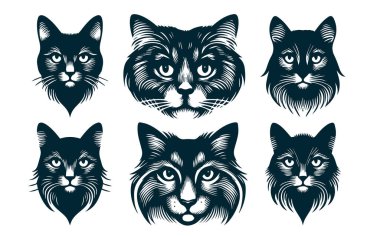 Bir Ev Kedisinin Ayrıntılı Vektör Silüeti