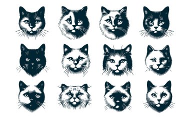 Dövme ya da Logo için Kara Kedi Silueti