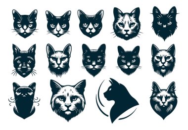 Sakin Kedi Poz Vektörü Siluet Sanatı