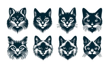 Kuyruk Yukarı Vektör Biçimli Kedi Silueti