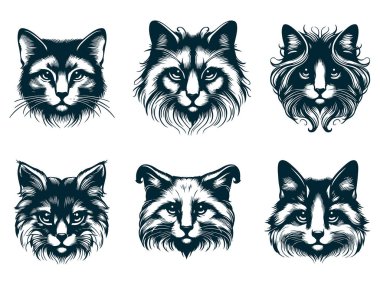 Beyaz Arkaplanda Kedi Vektörü Silueti