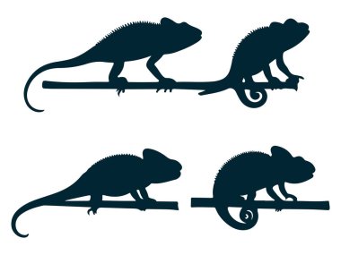 Bukalemun Yan Görünümü Siluet Vektör Sanatı