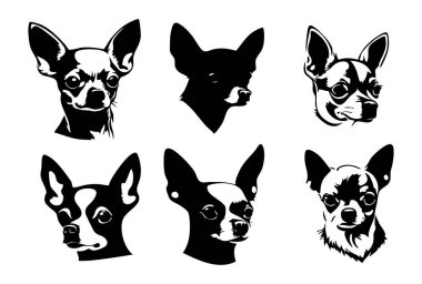 Beyaz Arkaplanda Chihuahua Vektör Silueti, Siyah Chihuahua Silueti Vector Illustration, Logo Tasarımı için Chihuahua Köpek Silueti