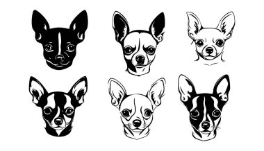 Beyaz Arkaplanda Chihuahua Vektör Silueti, Siyah Chihuahua Silueti Vector Illustration, Logo Tasarımı için Chihuahua Köpek Silueti