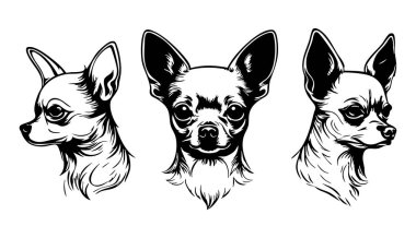 Beyaz Arkaplanda Chihuahua Vektör Silueti, Siyah Chihuahua Silueti Vector Illustration, Logo Tasarımı için Chihuahua Köpek Silueti