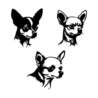 Beyaz Arkaplanda Chihuahua Vektör Silueti, Siyah Chihuahua Silueti Vector Illustration, Logo Tasarımı için Chihuahua Köpek Silueti
