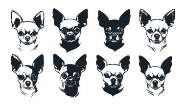 Beyaz Arkaplanda Chihuahua Vektör Silueti, Siyah Chihuahua Silueti Vector Illustration, Logo Tasarımı için Chihuahua Köpek Silueti