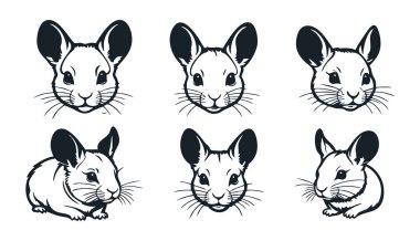 Hayvan Temalı Logolar için Chinchillas Vektör Simgesi