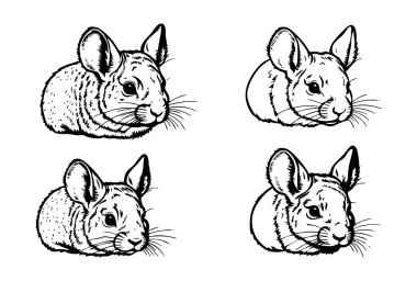 Minimalist Chinchillas Silueti Temiz Arkaplanda