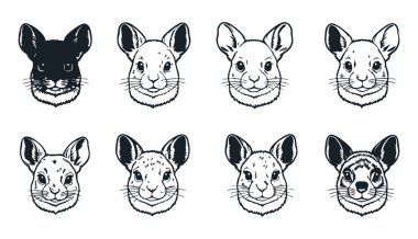 Chinchillas Hayvan Silueti Beyazın Üzerinde İzole Edildi