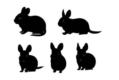 Logolar için şirin Chinchillas Siluet Vektörü
