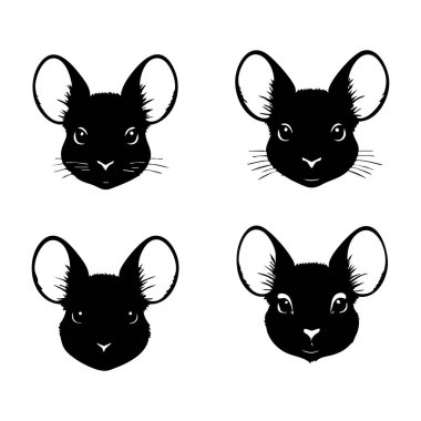 Siyah Chinchilla Siluet Vektör İllüstrasyonu