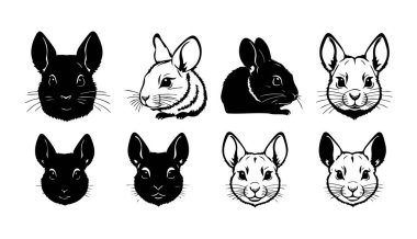 Beyaz Arkaplanda Chinchillas Vektör Silueti