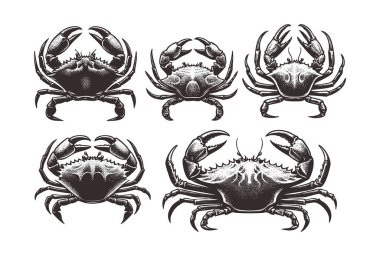 Temiz Arkaplanda Minimalist Yengeç Silueti