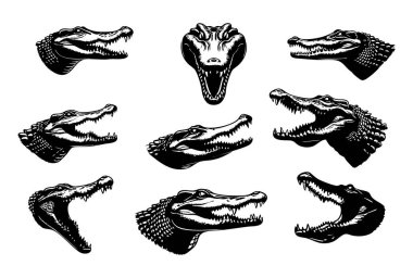 Siyah Timsah Siluet Vektör İllüstrasyonu