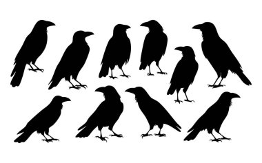 Tişört Tasarımı için Ayrıntılı Karga Silüeti