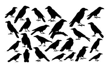 Temiz Arkaplanda Minimalist Karga Silüeti