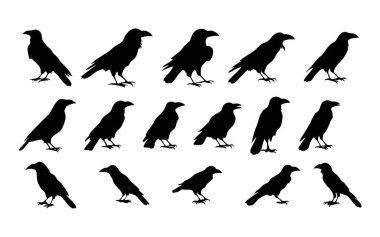 Logo Tasarımı için Basit Karga Silüeti