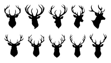 Beyaz Arkaplanda Geyik Tasarımı