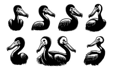 Dodo Kuş Siluet Vektör Sanatı