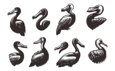 Logo Tasarımı için Basit Dodo Silueti