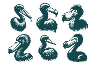 Beyaz Arkaplanda Dodo Özet Vektör Tasarımı