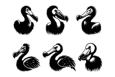 Beyaz Arkaplanda Dodo Vektörü Silueti