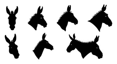 Eşek Silueti Vektör Grafik Tasarımı
