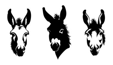 Eşek Duran Silüet Vektörü