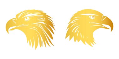 Kartal kafasının vektör illüstrasyonu