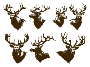 Siluette Gerçekçi Geyik Vektör Tasarımı