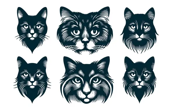 Bir Ev Kedisinin Ayrıntılı Vektör Silüeti