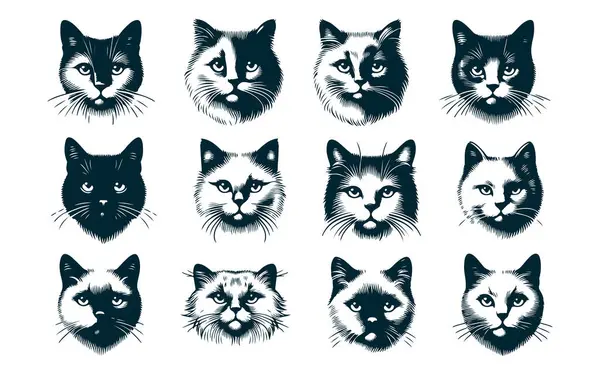 Dövme ya da Logo için Kara Kedi Silueti