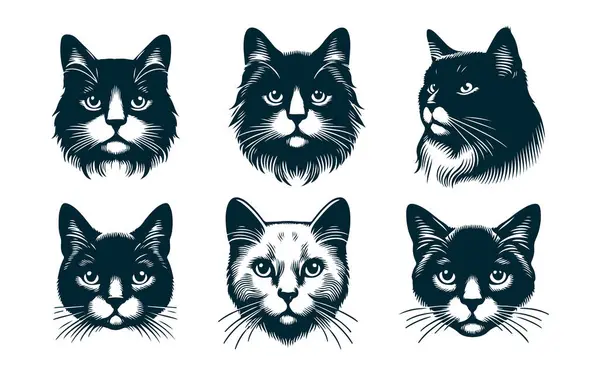 Kedi Taslak Vektörü Beyazda İzole Edildi