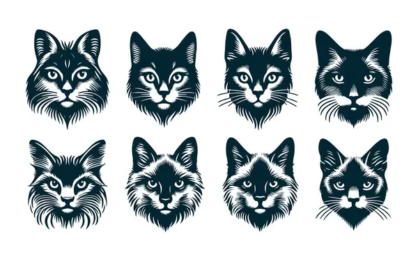 Kuyruk Yukarı Vektör Biçimli Kedi Silueti