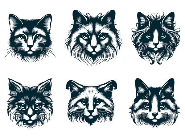 Beyaz Arkaplanda Kedi Vektörü Silueti