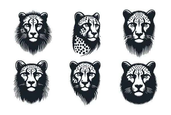 Beyaz Çita Silueti İzole Edildi