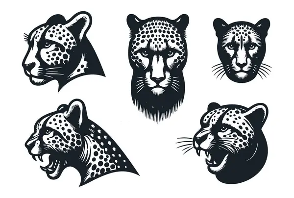 Beyaz Arkaplanda Vahşi Çita Silueti