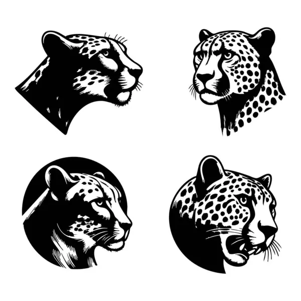 Çita Tarafı Görünümü Siluet Vektör Grafiği