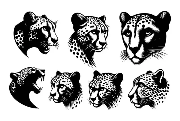 Siyah Çita Siluet Vektör İllüstrasyonu