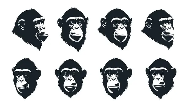 Siyah Şempanze Siluet Vektör İllüstrasyonu