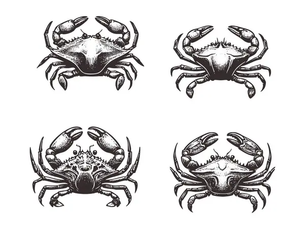 Deniz Ürünleri Markası için Vektör Yengeç Silueti