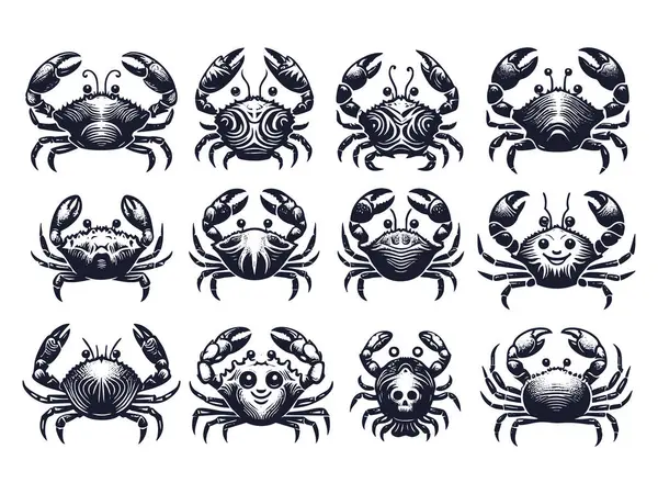 Web Tasarımı için Deniz Yengeci Silueti Vektörü