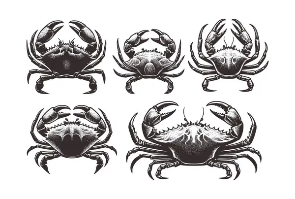 Temiz Arkaplanda Minimalist Yengeç Silueti