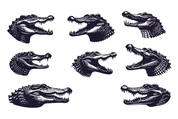 Eko Projeler için Timsah Hayvan Vektörü