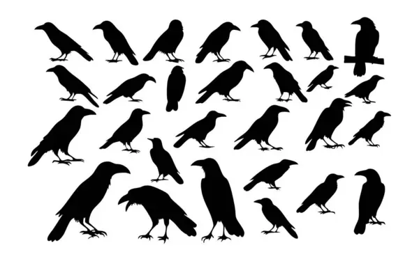 Karga Başı Siluet Vektörü ResimleriComment