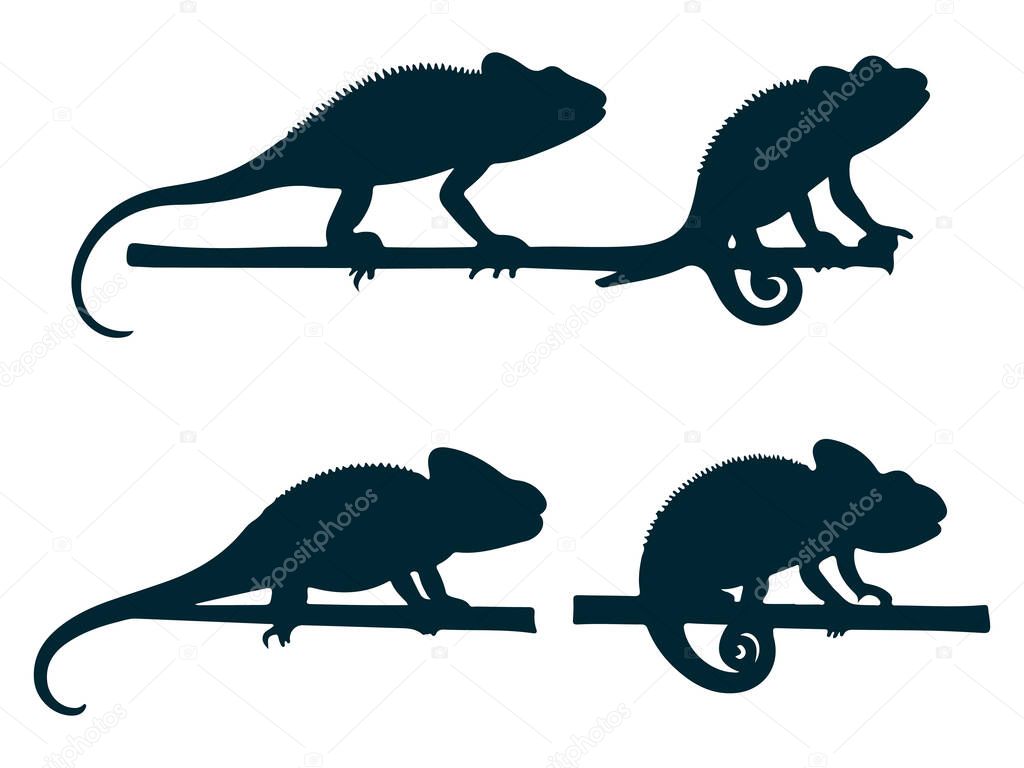 Chameleon Side View Silhouette Vector Art