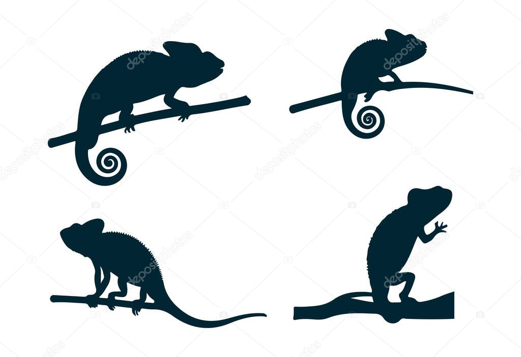 Black Chameleon Silhouette Illustration on White