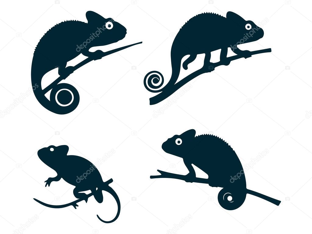 Chameleon Vector Silhouette on White Background